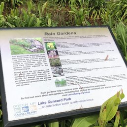 Rain garden