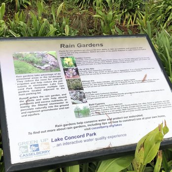 Lake Concord Park - Rain garden - Parks Near Me - Casselberry, Florida