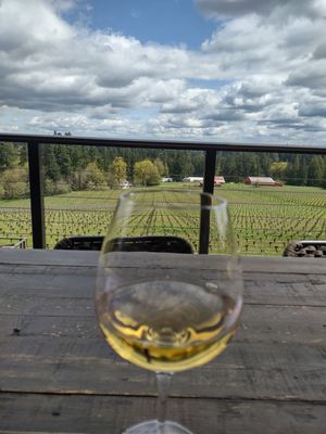 Hawks View Winery by null