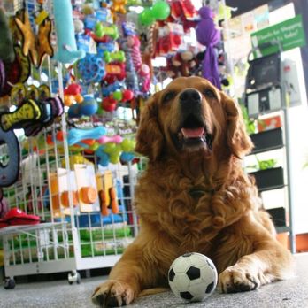 IB Pet - Pet Stores Near Me - Chula Vista, California IB Pet - Pet Stores Near Me - Chula Vista, California