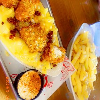 Gold Feather - Mac&cheese - Beer Bar Near Me - San Antonio, Texas