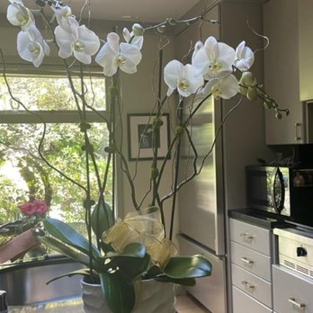 Bloomin'  Designs - Florists Near Me