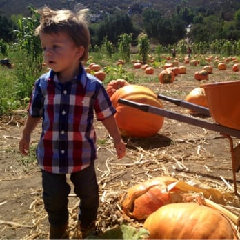 Bates Nut Farm - Great photo ops! - Specialty Food Near Me - Valley Center, California Bates Nut Farm - Great photo ops! - Specialty Food Near Me - Valley Center, California