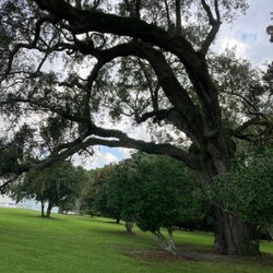 Charles Pinckney National Historic Site