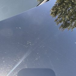 7 Flags Car Wash - Damage to coat after one time through the wash