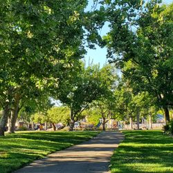 Pleasure Island Park - Trail