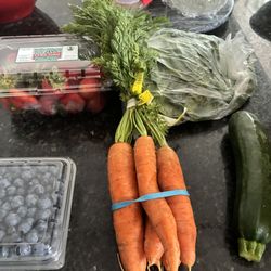 Greenhearts Family Farm - First delivery