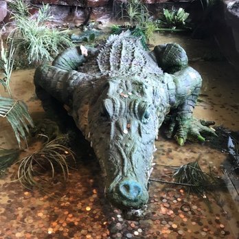 Rainforest Cafe - Cafes Near Me - Niagara Falls, New York