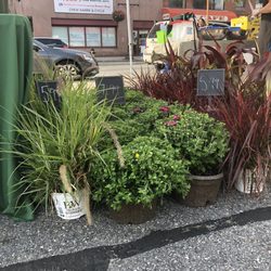 Rogers Spring Hill Farm - Farmers market products