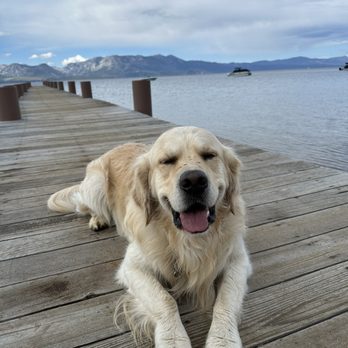 Wild Blue Dog Camp - Summer Camps Near Me - Seal Beach, Nevada