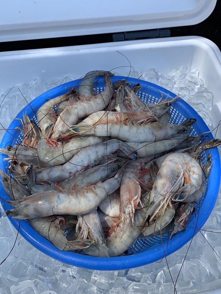 Mikes Mayport Shrimp Logo
