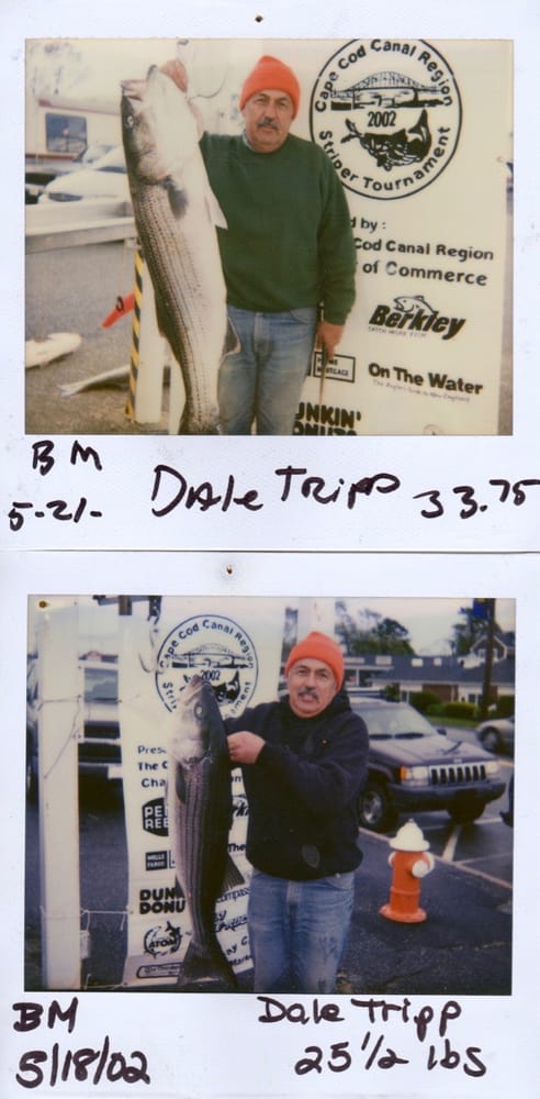 Brandi Ellen Sportfishing Logo