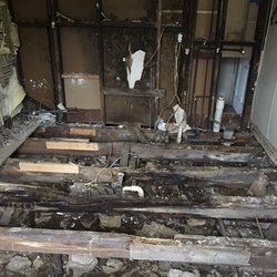 AO Structural Engineers - Serious Wood Rot!