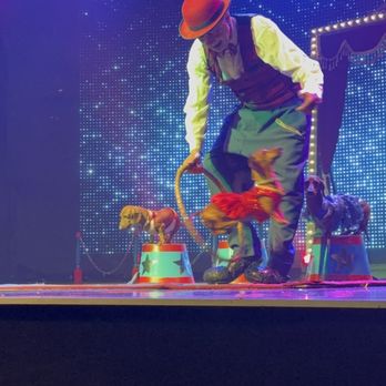 Popovich Comedy Pet Theater - Performing Arts Near Me - Las Vegas, Nevada Popovich Comedy Pet Theater - Performing Arts Near Me - Las Vegas, Nevada