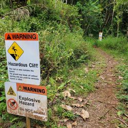 Maunawili Demonstration Trail