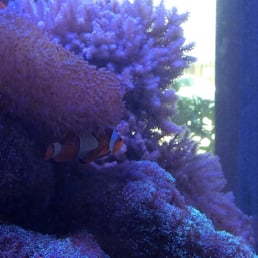 Best fish tank ever! Best fish tank ever!