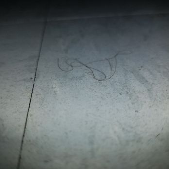 Meza's Carpet Cleaning - Hair waxed into floor - Carpet Cleaning Near Me Meza's Carpet Cleaning - Hair waxed into floor - Carpet Cleaning Near Me