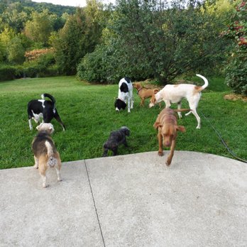 Friendly Paws Pet Care - Dog Walkers Near Me - La Crescent, Minnesota Friendly Paws Pet Care - Dog Walkers Near Me - La Crescent, Minnesota