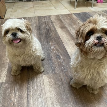 DeSoto Animal Clinic - Veterinarians Near Me - Bradenton, Florida