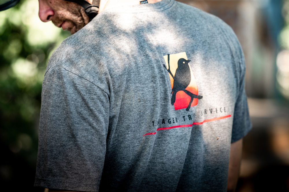 Tanager Tree Service - tree service in Boise City, ID