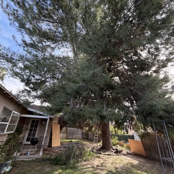 JME Tree Service - Tree Services Near Me