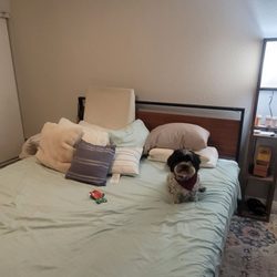 Supreme Maintenance Services - Master bedroom . Claribel always folds blankets for dogs and puts them in a cute organized corner.