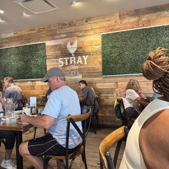 Stray Hen Cafe - Aesthetics - Breakfast & Brunch Near Me - Elmhurst, Illinois