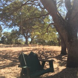 Rattlesnake Island - Swinging bench