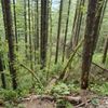 Rattlesnake Mountain gift card
