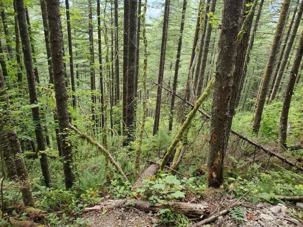 RATTLESNAKE MOUNTAIN Updated September 2024 122 Photos & 28 Reviews