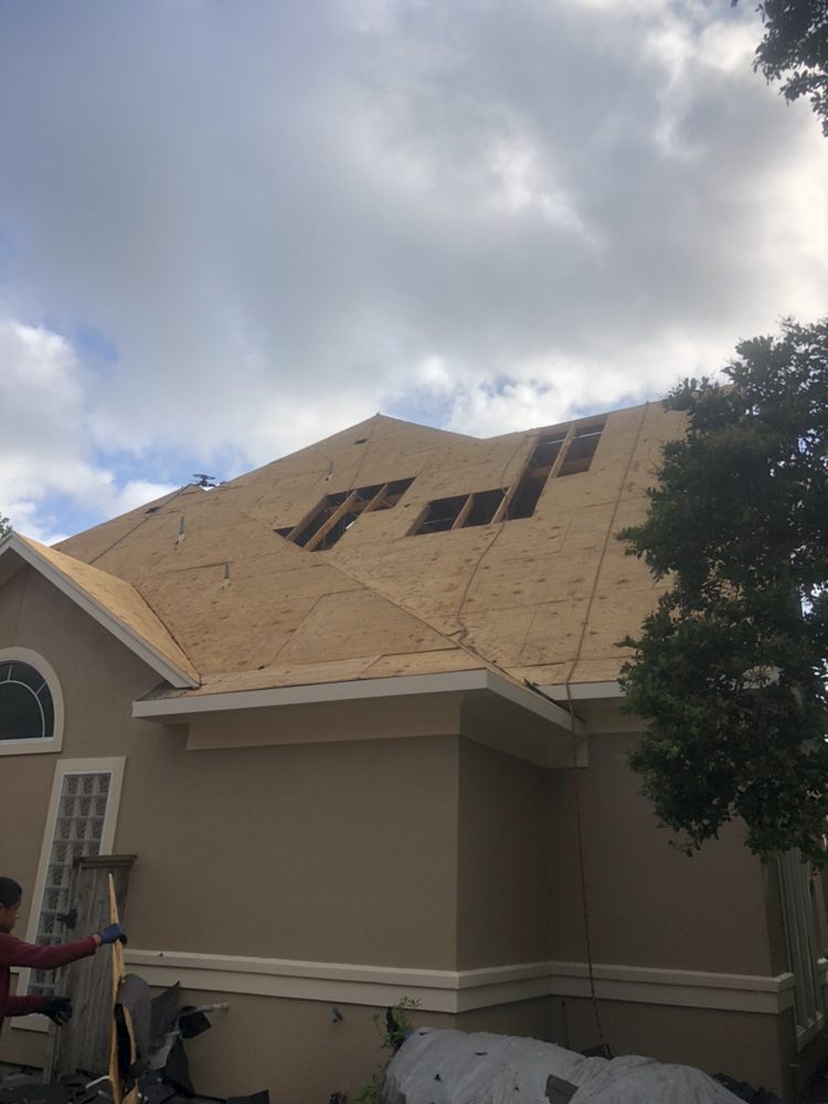 Slide of Alpha 1 Restorations