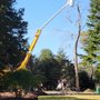 Photo of Mackenzie Tree Service
