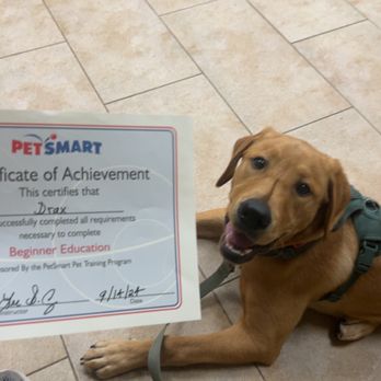 PetSmart - Pet Stores Near Me - Chantilly, Virginia