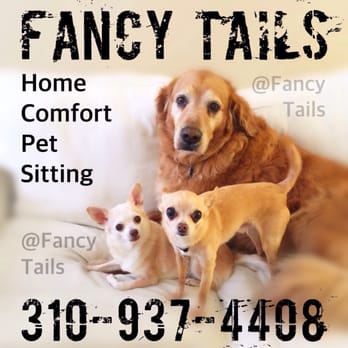 Fancy Tails - Dog Walkers Near Me - Hermosa Beach, California Fancy Tails - Dog Walkers Near Me - Hermosa Beach, California