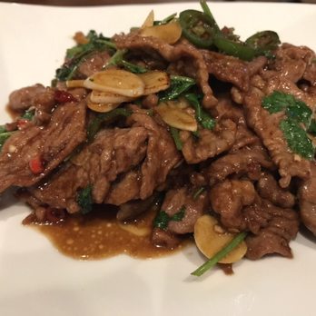 Dao Authentic Asian Cuisine - Stir fried lamb and peppers - freakin' AMAZING! - Chinese Near Me - Corpus Christi, Texas