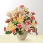 Photo of Petal Pusher Plus