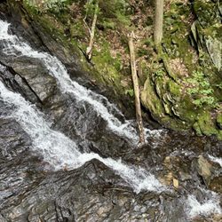 Thundering Brook Falls - Thundering Brook Falls