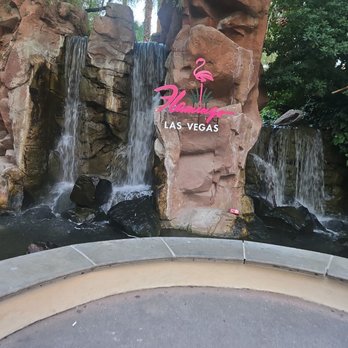 Flamingo Las Vegas - A waterfall in the background and the hotel sign - Hotels Near Me - Las Vegas, Nevada Flamingo Las Vegas - A waterfall in the background and the hotel sign - Hotels Near Me - Las Vegas, Nevada