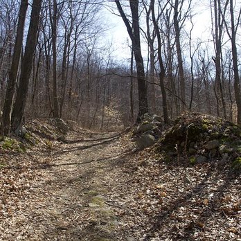 Hacklebarney State Park - Beautiful pathway - Parks Near Me - Long Valley, New Jersey Hacklebarney State Park - Beautiful pathway - Parks Near Me - Long Valley, New Jersey