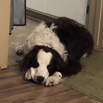 Mud Bay - Pet Stores Near Me - Bend, Oregon