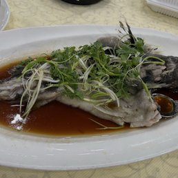 steamed sea bass (live)