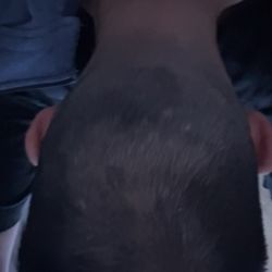 Great Clips - hair salon has bad haircut, sloppy, doesn't care about customer's hair. waste of money. never come here. i'm scared