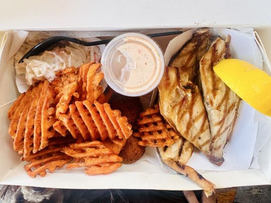 Star Fish Company by null