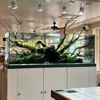 Clark's Oyster Bar–Houston - Seafood Near Me - Houston, Texas Clark's Oyster Bar–Houston - Seafood Near Me - Houston, Texas