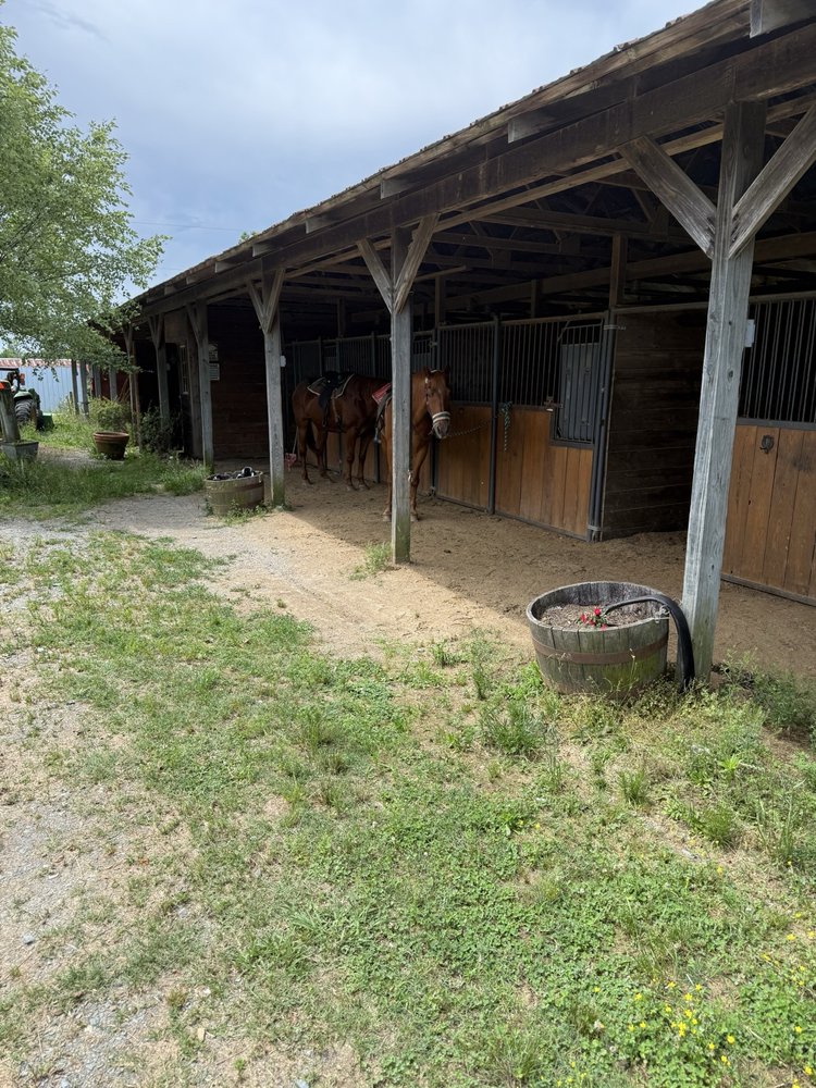 Social spots from Why Not An American Ark