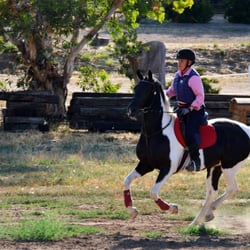 Clare's Riding Club - Gypsy in full galloping glory