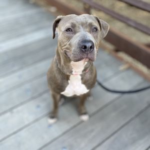 Fowler Creek Park on Yelp