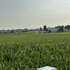 Amish Country Motel gift card