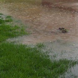 AquaProof - "Pond" in your yard? Let us make your yard dry and enjoyable!