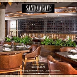 Santo Agave